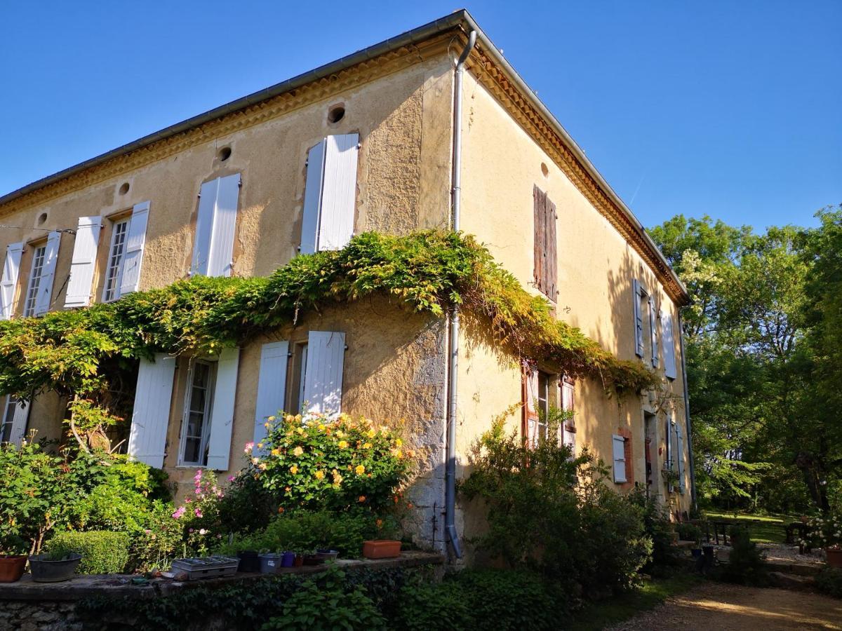 Mule Bed & Breakfast Lagardere ภายนอก รูปภาพ