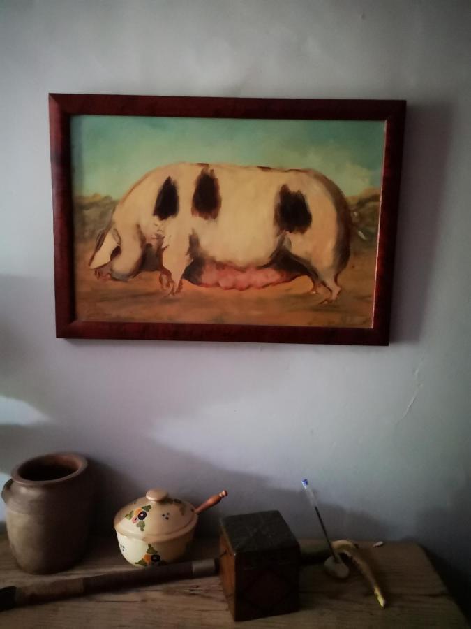 Mule Bed & Breakfast Lagardere ภายนอก รูปภาพ